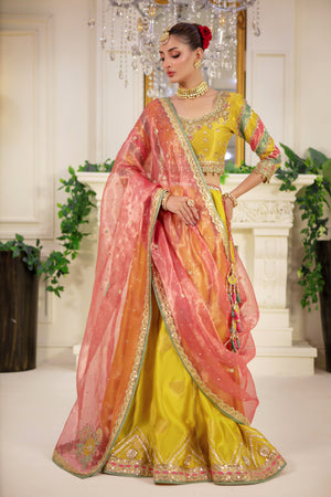Rasha | Pakistani Designer Outfit | Sarosh Salman