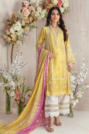 Sun Kissed | Pakistani Designer Outfit | Sarosh Salman