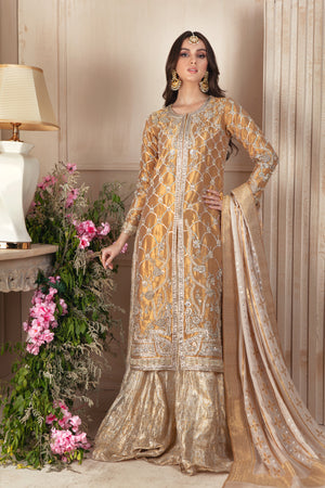 Ezra | Pakistani Designer Outfit | Sarosh Salman